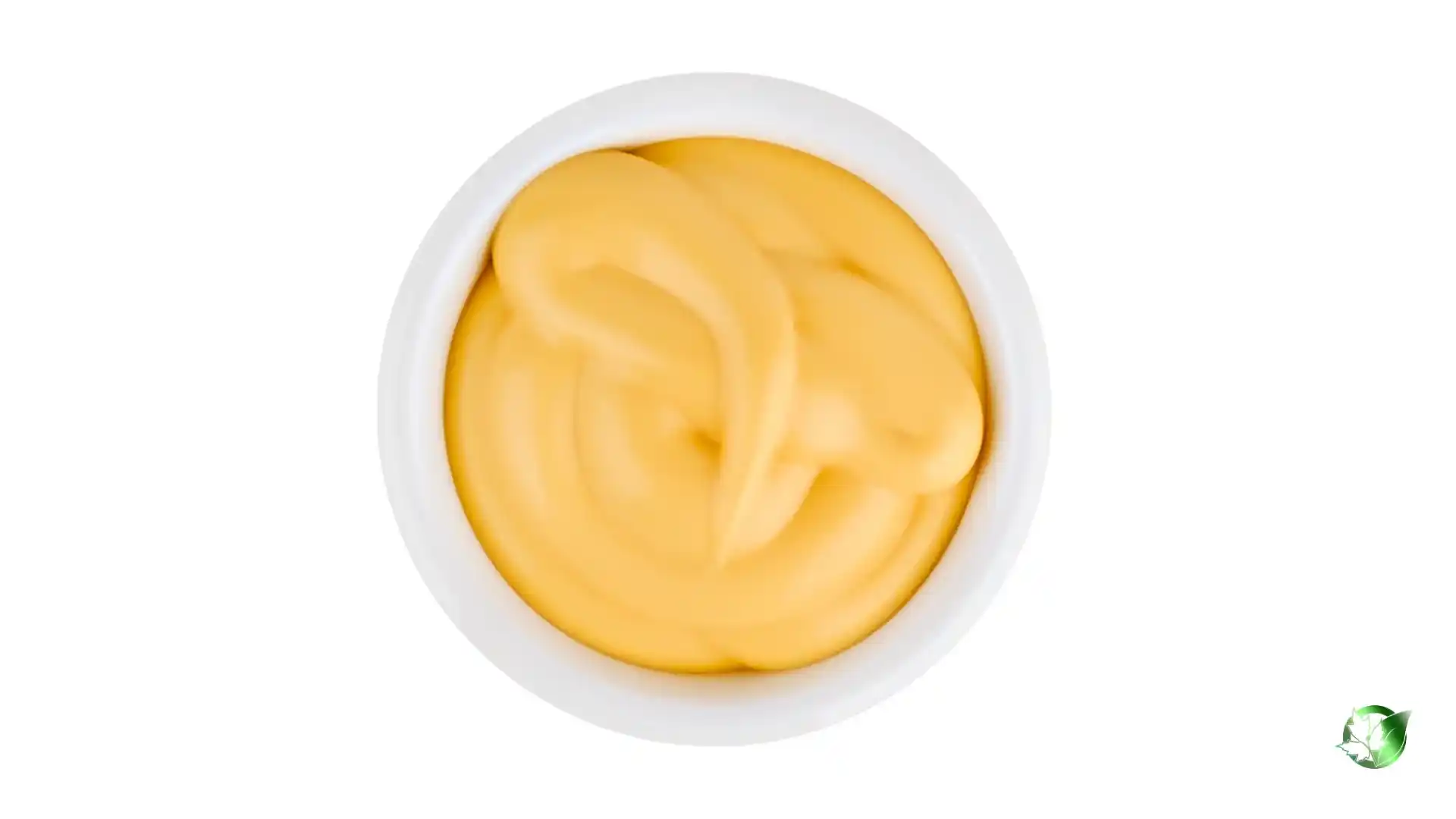 Bulk Cheese Dip Sauce | Suppliers | Wholesale | ParsaFood Global